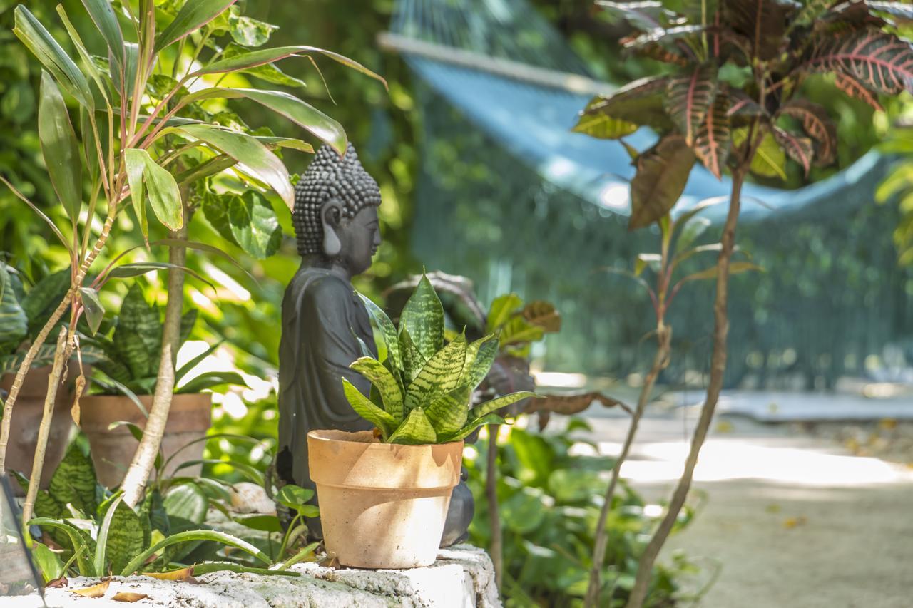 Secret Garden Tulum Hotel Luaran gambar