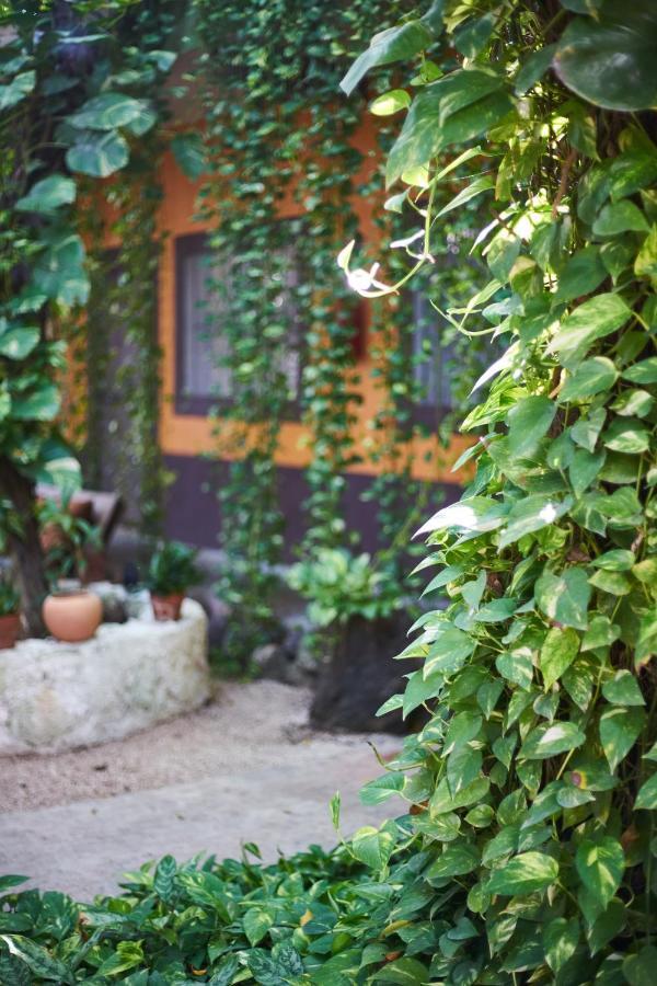 Secret Garden Tulum Hotel Luaran gambar